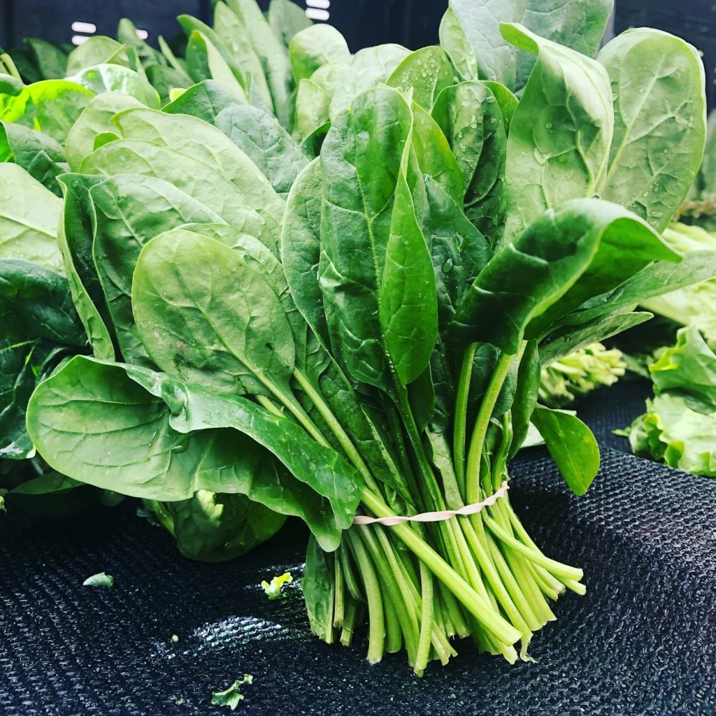 Fresh green leafy vegetables